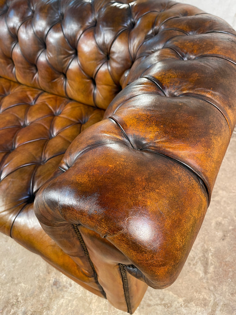 exceptional antique english victorian horse hair & sprung coil leather chesterfield sofa circa 1900