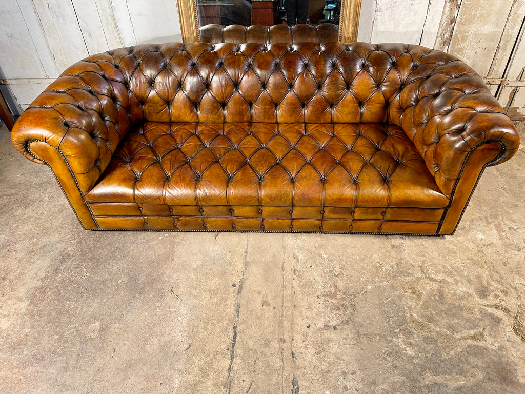 exceptional antique english victorian horse hair & sprung coil leather chesterfield sofa circa 1900