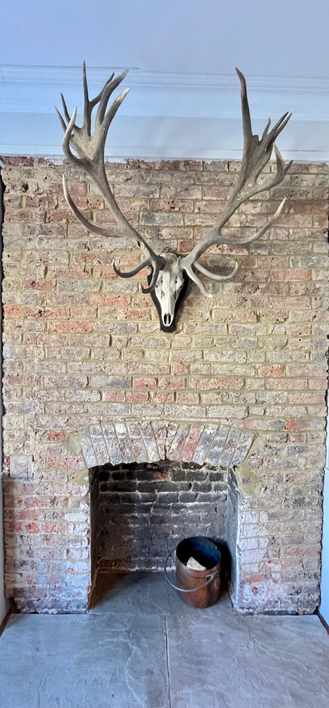 antique 19 point stag antlers from the glencarron estate scotland