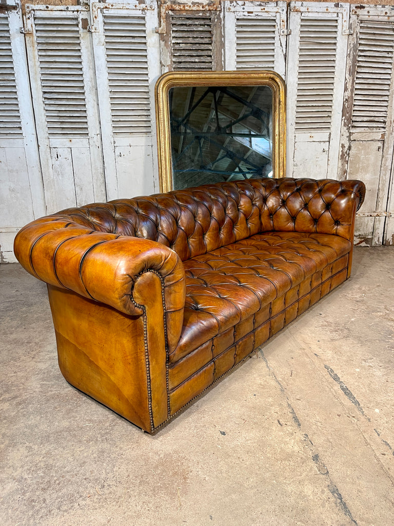 exceptional antique english victorian horse hair & sprung coil leather chesterfield sofa circa 1900