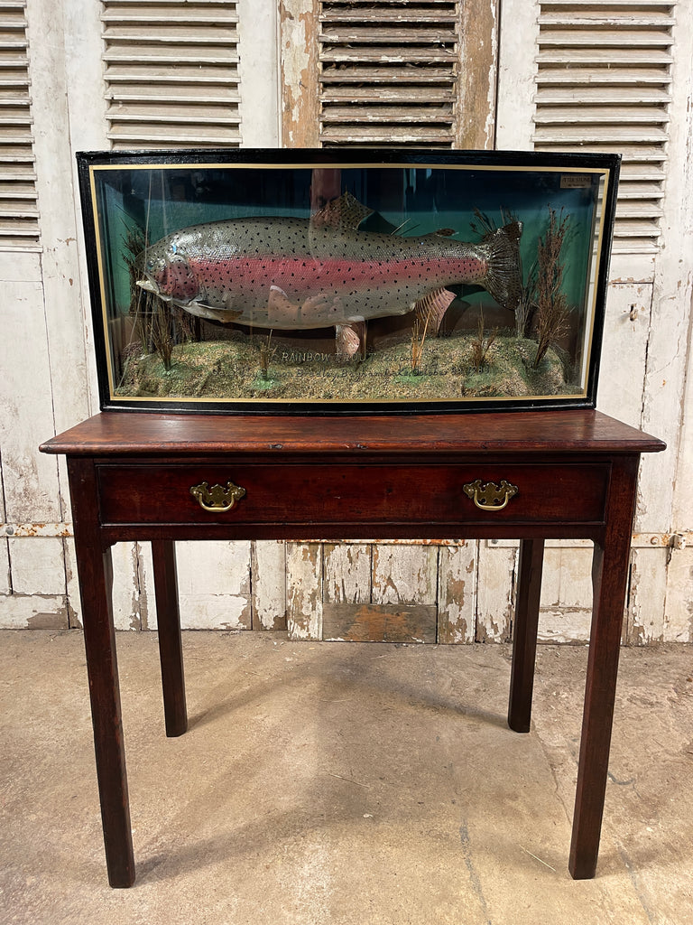 fabulous decorative anglers bow fronted glass cased taxidermy of a large fish/trout by sought after angler/taxidermist peter stone