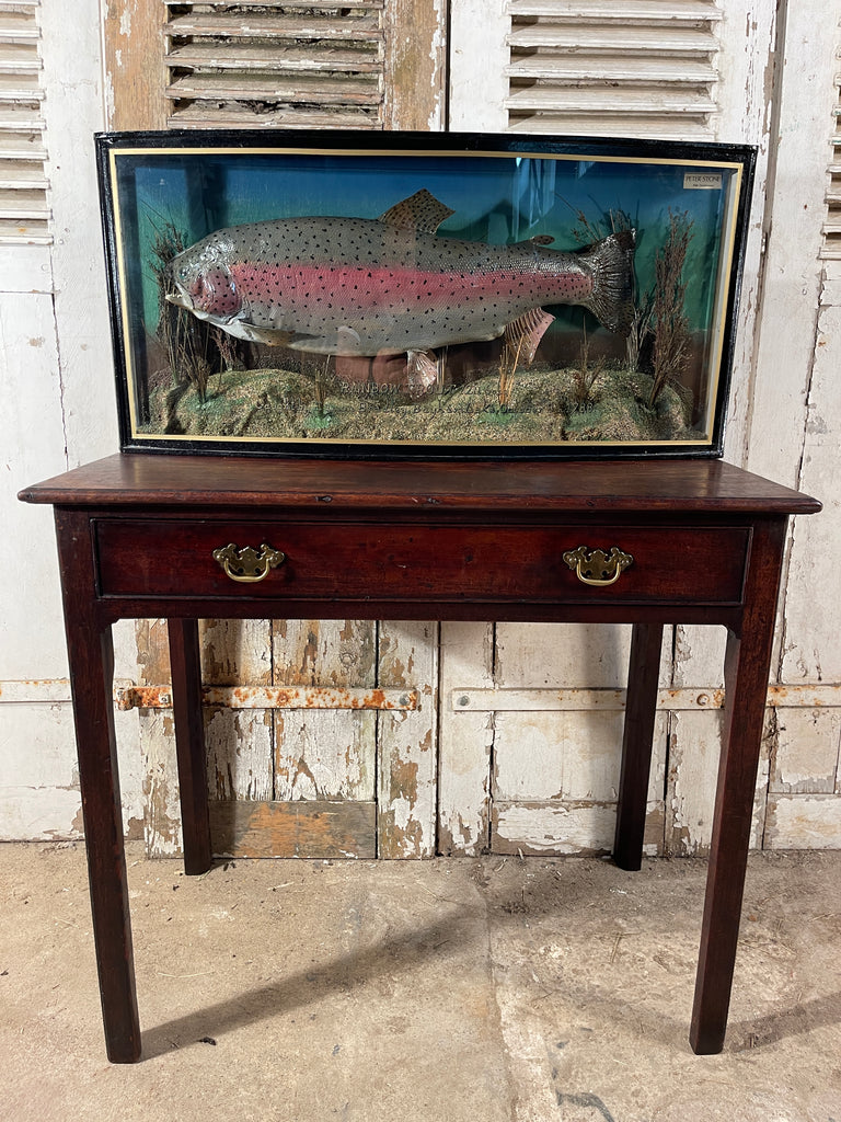 fabulous decorative anglers bow fronted glass cased taxidermy of a large fish/trout by sought after angler/taxidermist peter stone