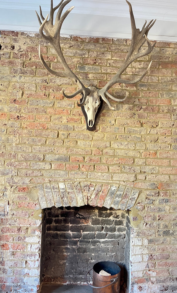 antique 19 point stag antlers from the glencarron estate scotland