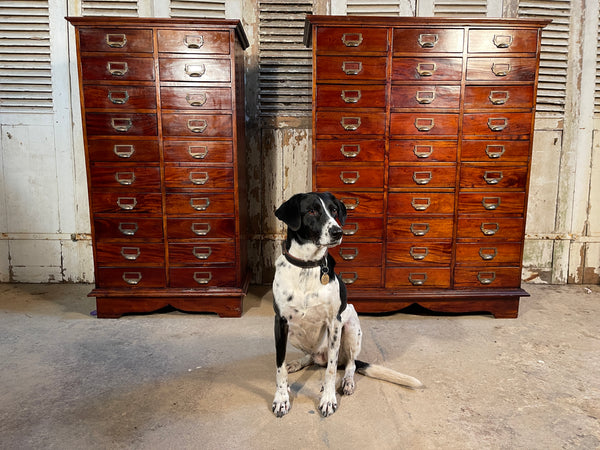 antique mahogany belgium bankers  drawers circa 1900