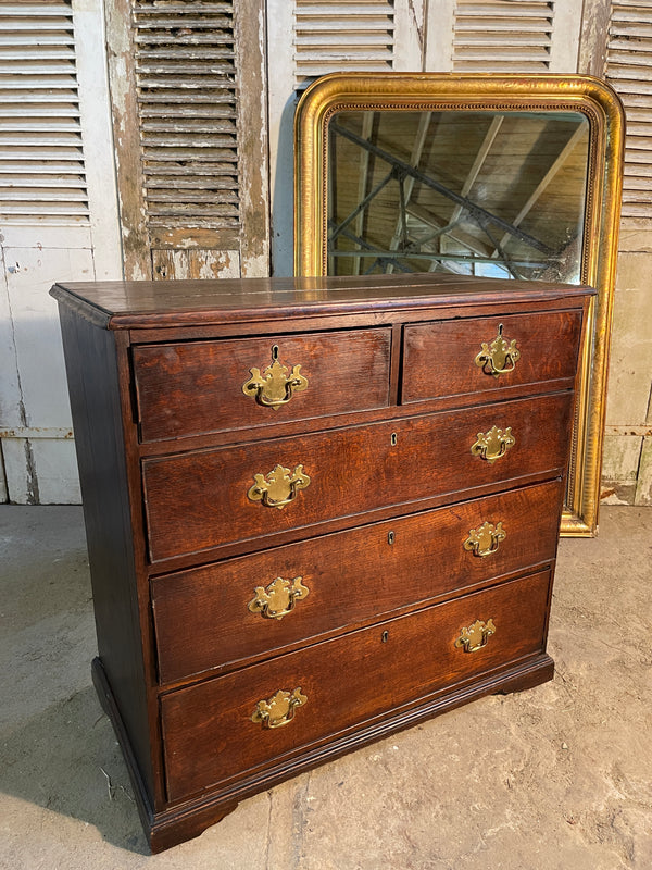 antique georgian oak chest drawers