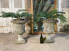 a pair of large architectural garden planters