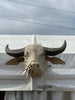 antique indian american carved buffalo head