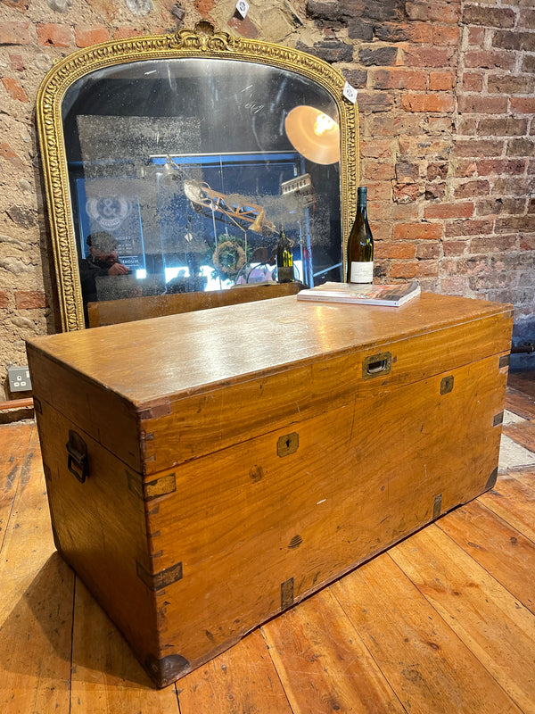 large georgian camphor military trunk chest