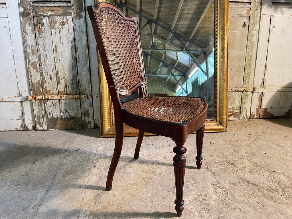 antique georgian cane mahogany chair