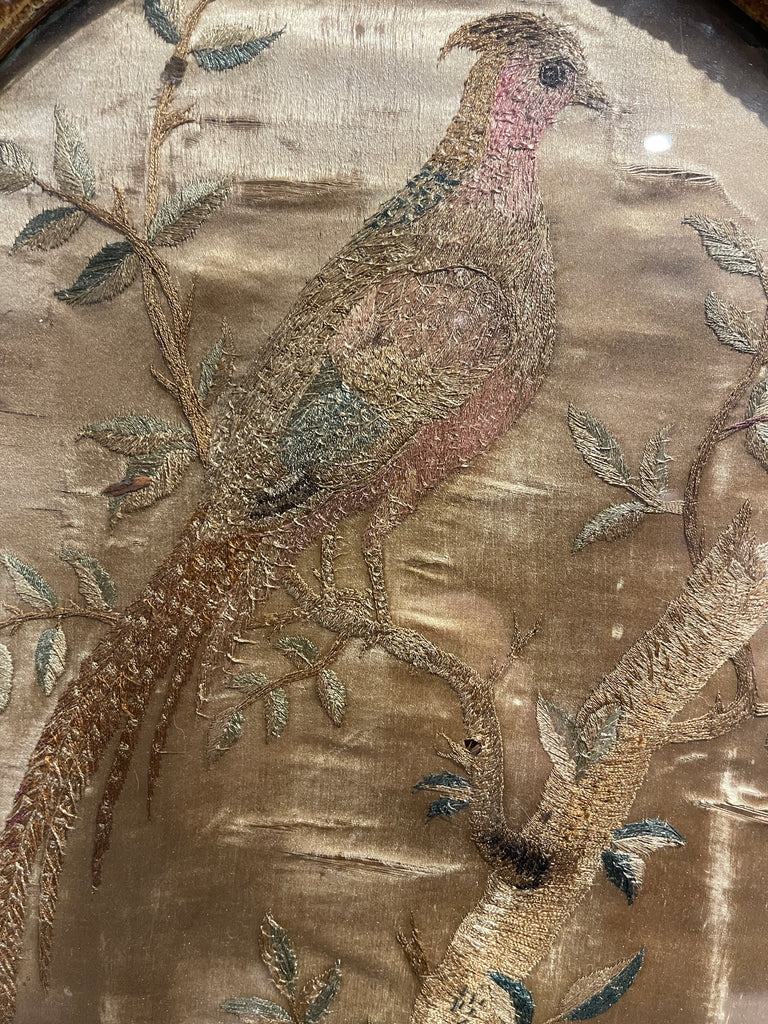 antique george ii regency silk work sampler exotic birds circa 1730