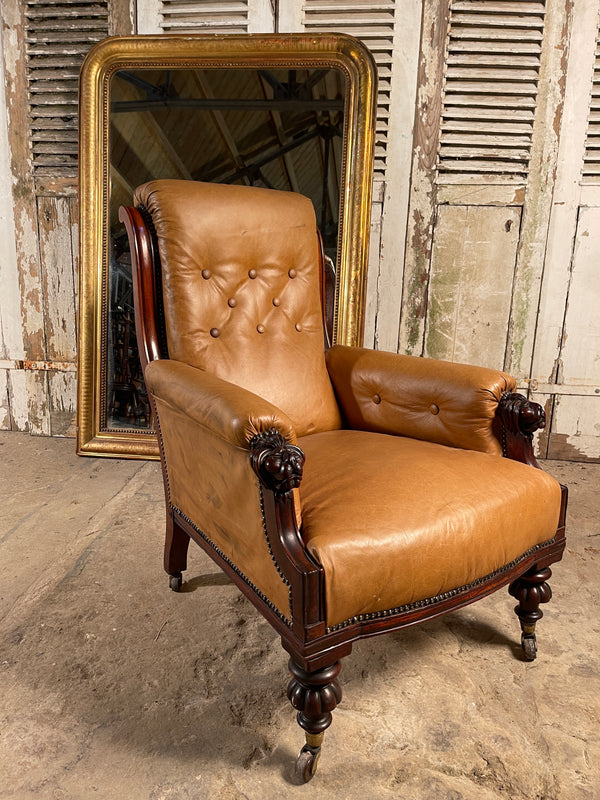 antique scottish mahogany leather library armchair with lions head carved arms