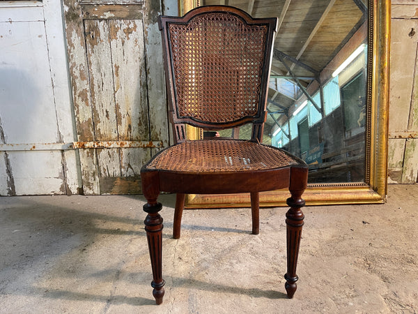 antique georgian cane mahogany chair