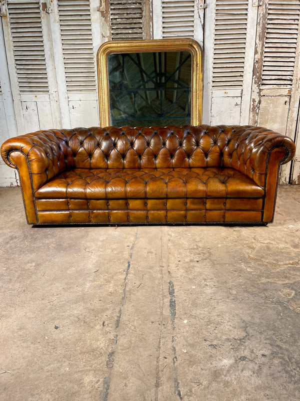 exceptional antique english victorian horse hair & sprung coil leather chesterfield sofa circa 1900