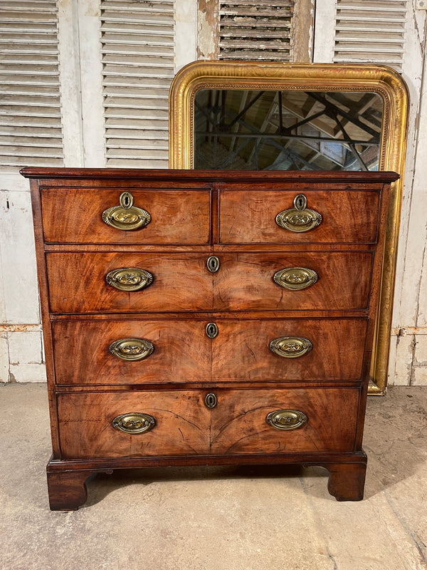 early georgian regency antique flame mahogany  chest of drawers