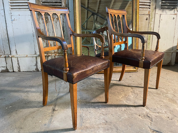 antique sheraton revival satin wood leather chair