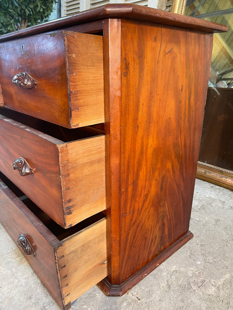 antique cuban mahogany chest of drawers