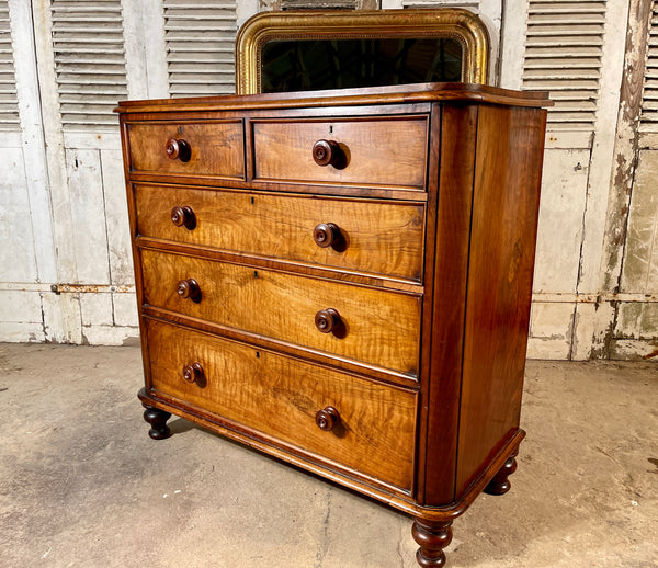 early antique victorian walnut chest of drawers circa 1860